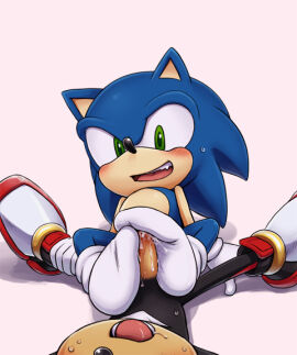 Image: 3140771