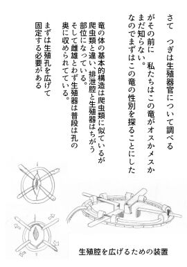 Image: 1548438