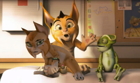 Image: 99556