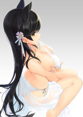 Image: 4513873