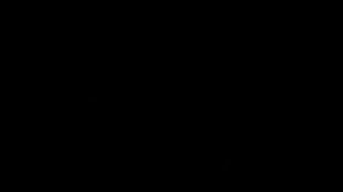 Image: 13110062