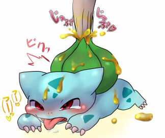 Image: 1699554