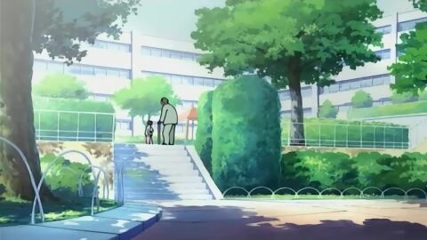 Image: 5240058