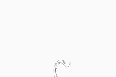 Image: 9660065