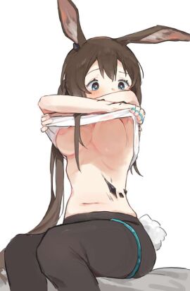 Image: 11565501