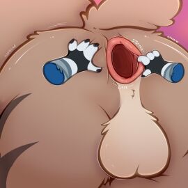 Image: 9354489