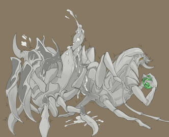 Image: 221584