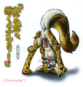 Image: 5003482