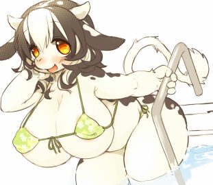 Image: 9013770