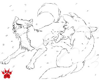 Image: 2597164
