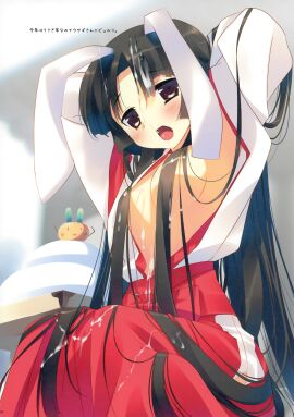 Image: 3166324