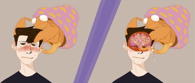 Image: 3855033