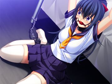 Image: 1237182