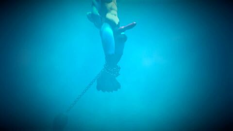 Image: 13056105