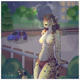 Image: 13014344