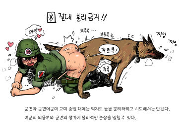 Image: 9926849