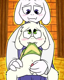Image: 13020914