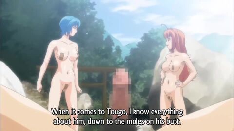 Image: 13081939
