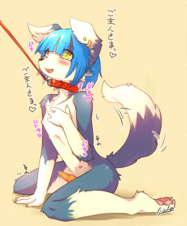 Image: 11451537