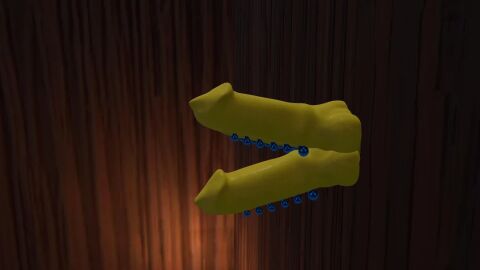 Image: 12415672