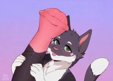 Image: 10063006