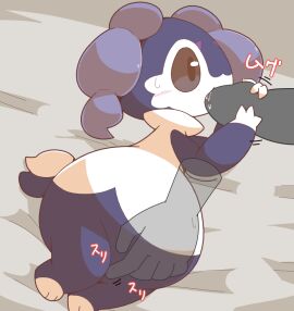 Image: 13092325