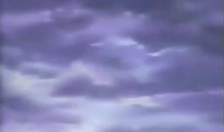 Image: 8910103