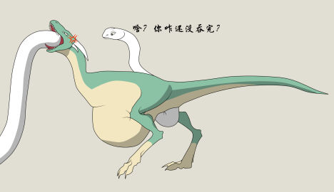 Image: 5082806
