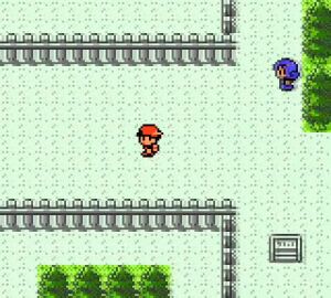 Image: 8297527
