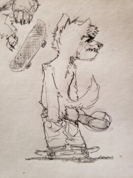 Image: 13073130
