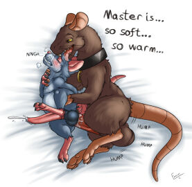 Image: 884240