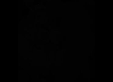 Image: 8636660
