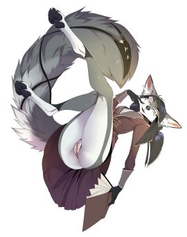 Image: 4407969