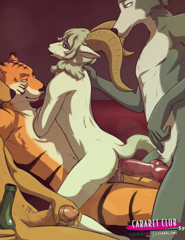 Image: 13022725
