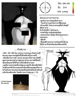 Image: 13025031