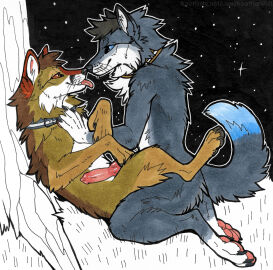 Image: 9720025