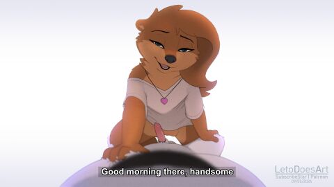 Image: 12805136