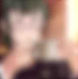 Image: 13097040