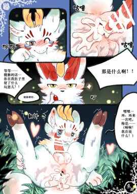 Image: 9006147