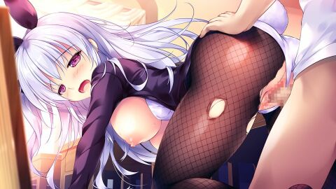 Image: 5516706