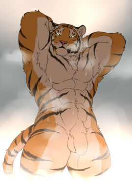 Image: 2535772