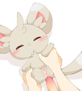 Image: 4405811