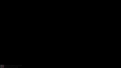 Image: 13084196