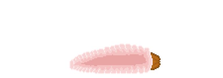 Image: 12711199