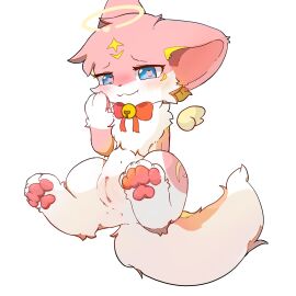 Image: 12848373