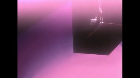 Image: 13065974