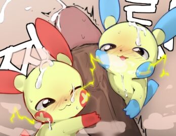 Image: 5482751