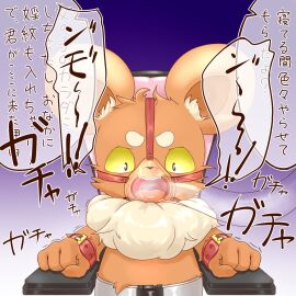 Image: 3702481
