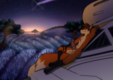 Image: 13043275