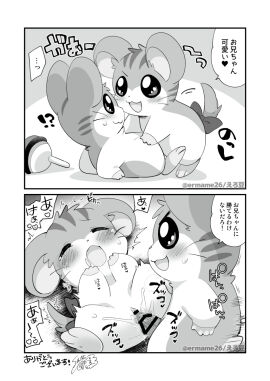 Image: 4874316